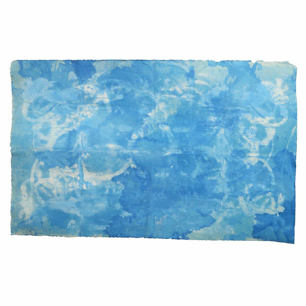 Canvas4019