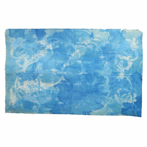 Canvas4019