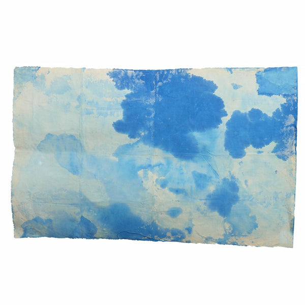 Canvas4019