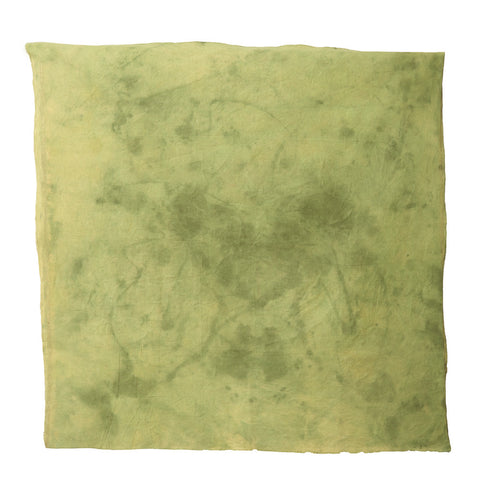 Canvas4021