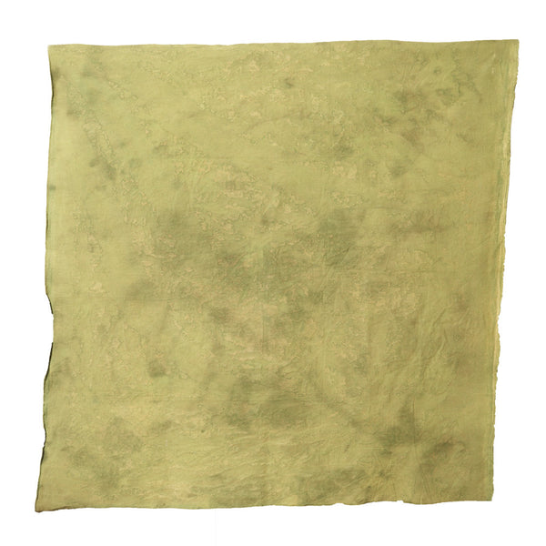 Canvas4021