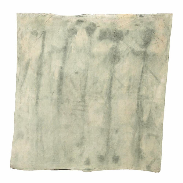 Canvas4027