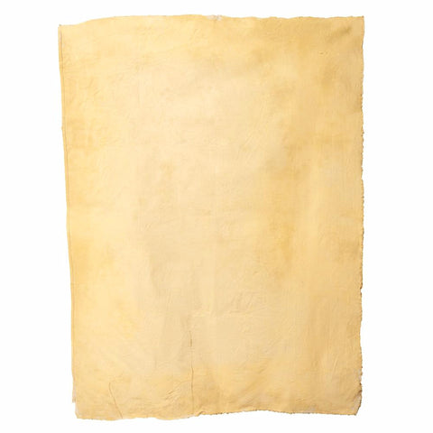 Canvas4035