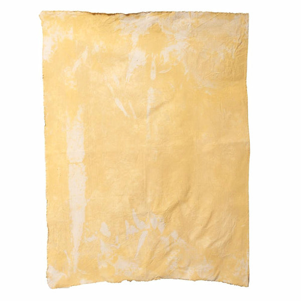 Canvas4035
