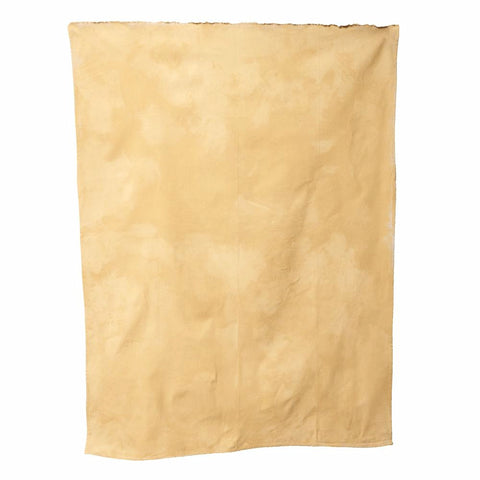 Canvas4037