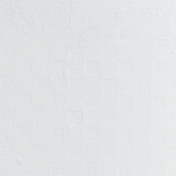 Surface4069