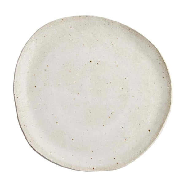 Platter4138