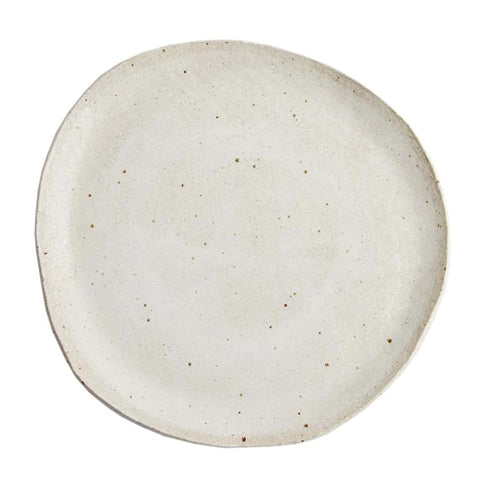 Platter4138