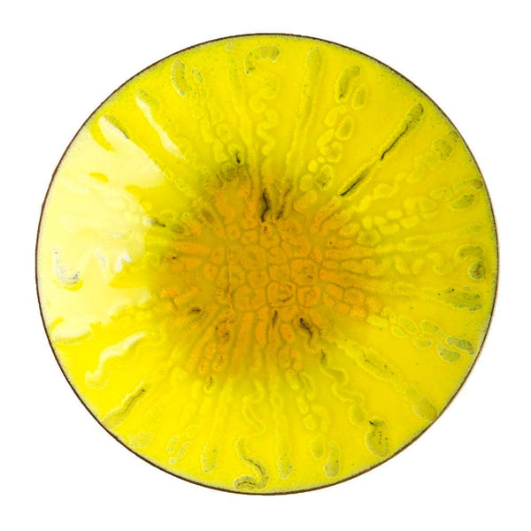 Bowl4174