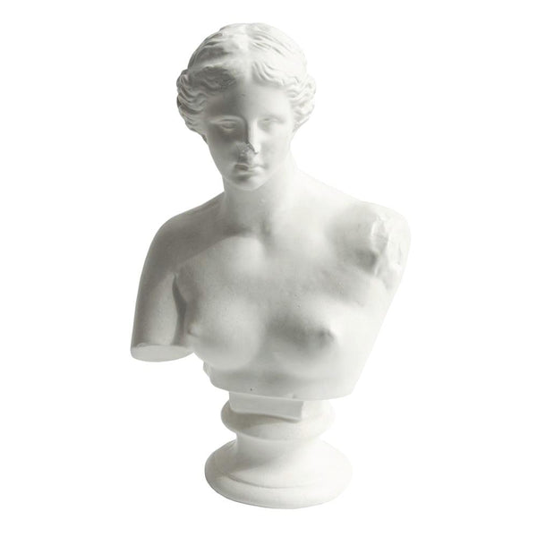 Bust4243