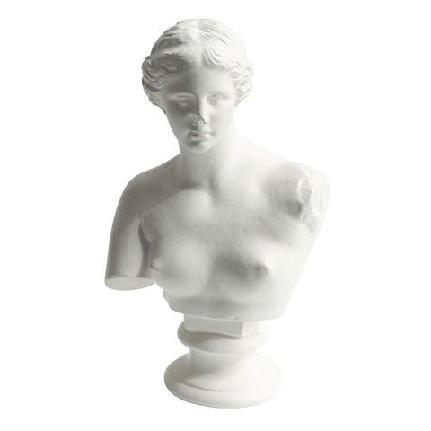 Bust4243