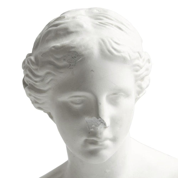 Bust4243