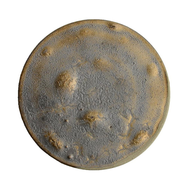 Plate4384