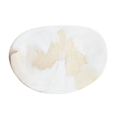 Platter4561