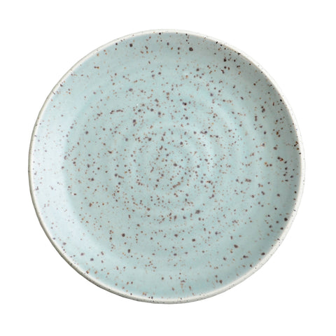 Plate4588