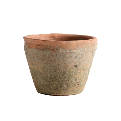 Planter4651