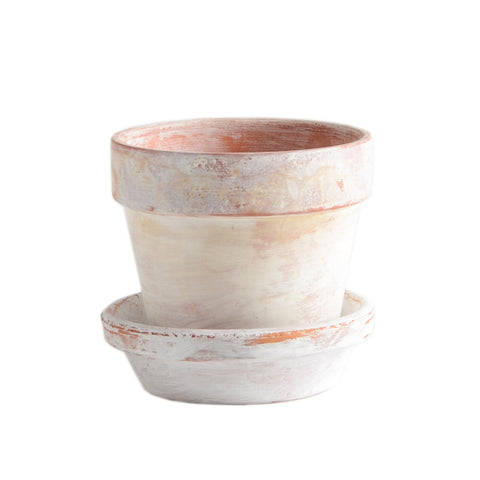 Planter4655
