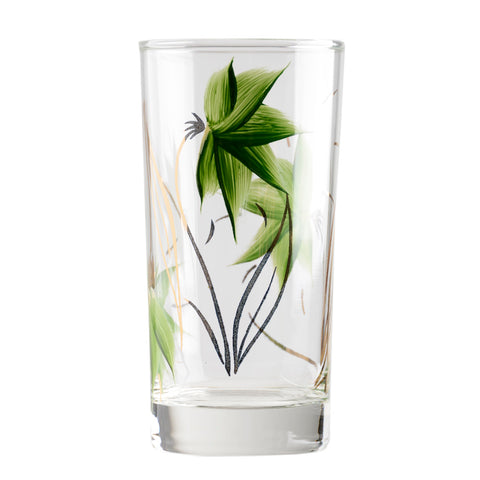 Glass4970