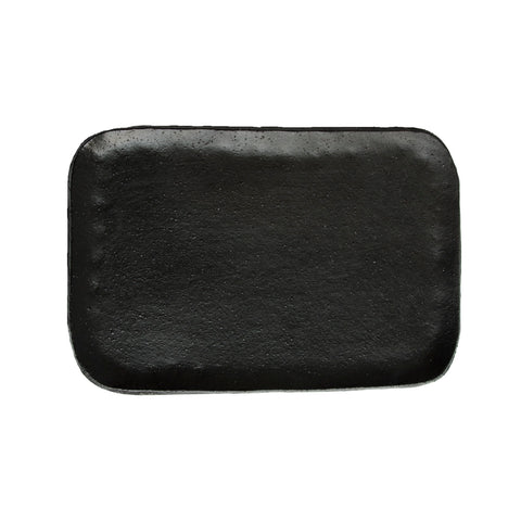 Platter4100