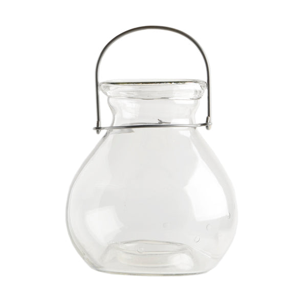 Lantern5072
