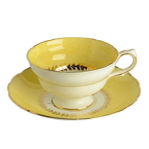 Cup6686
