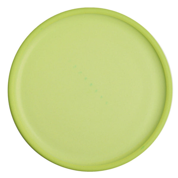 Plate6938