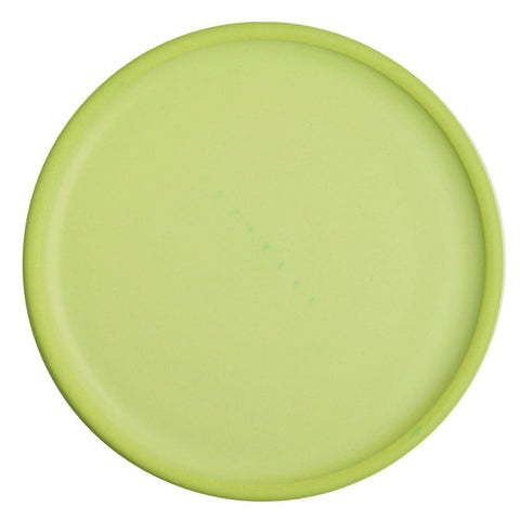 Plate6938