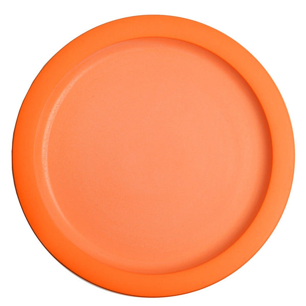 Plate6946