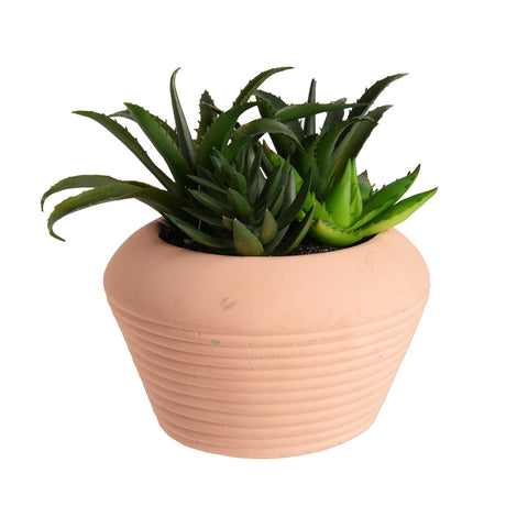 Plant8248