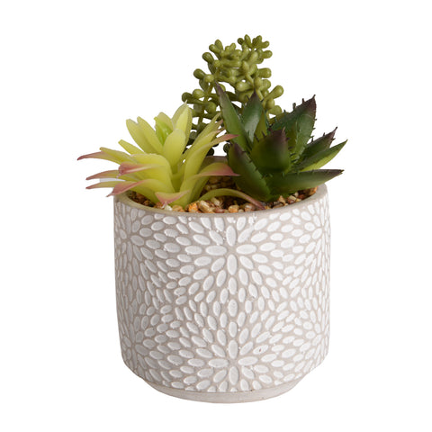 Plant8250