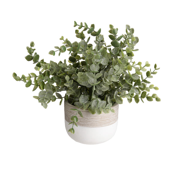 Plant8257