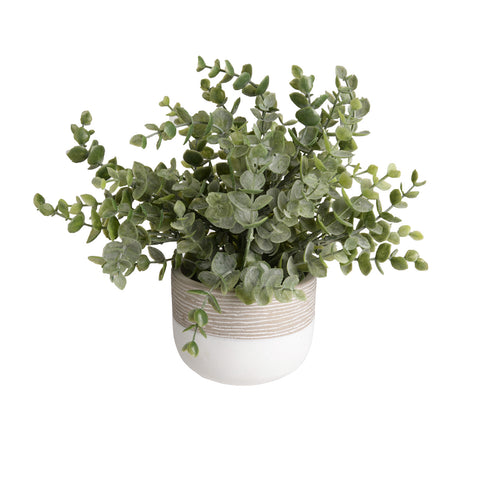 Plant8257