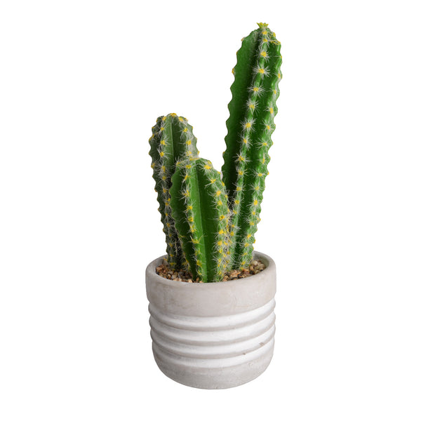 Plant8260