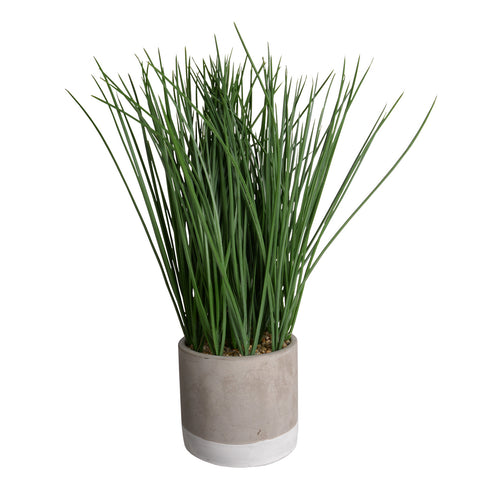 Plant8261