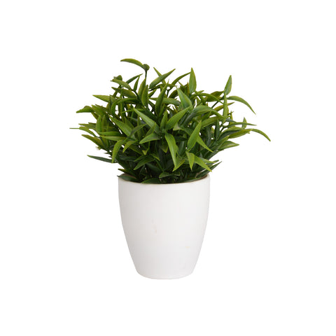 Plant8267