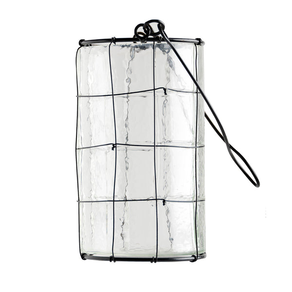 Lantern4955