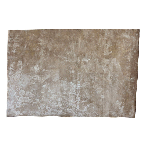 Canvas3419