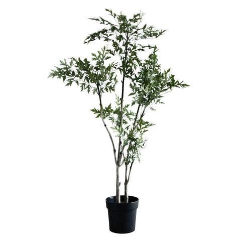 Plant3439