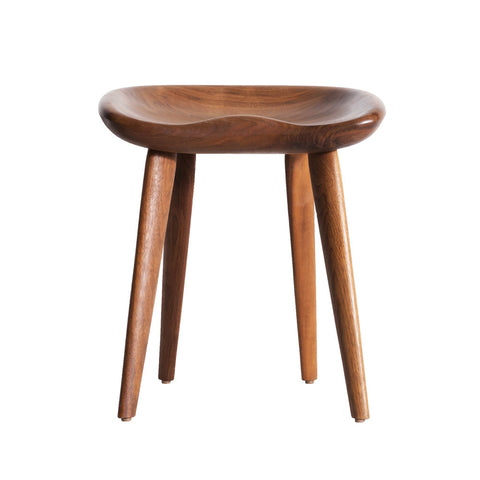 Stool3823