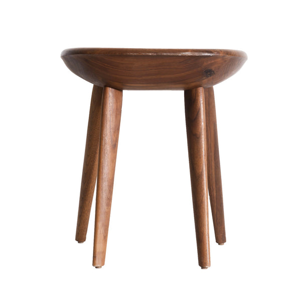 Stool3823