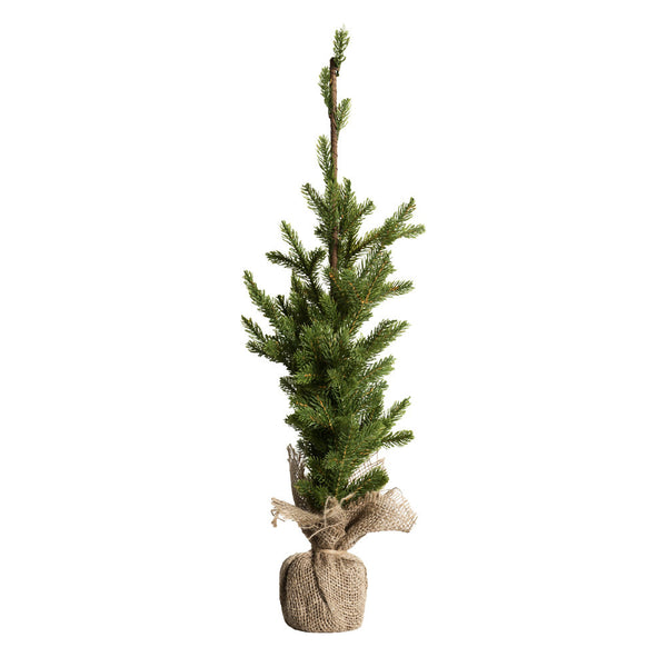 Plant3831