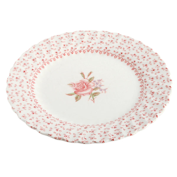 Plate0495