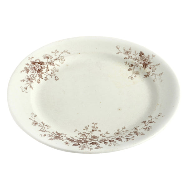 Plate0715