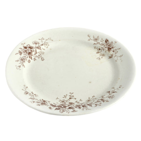 Plate0715