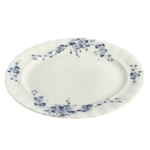 Platter0937