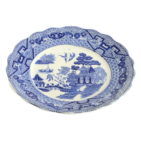 Plate1141