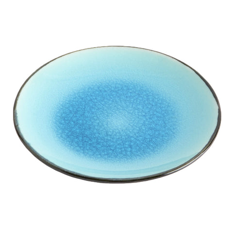 Plate1216