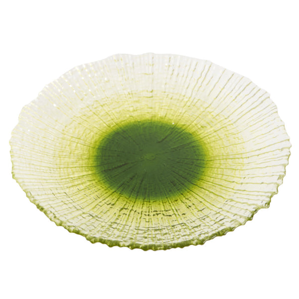 Plate1281