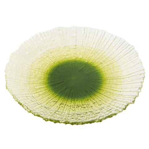 Plate1281