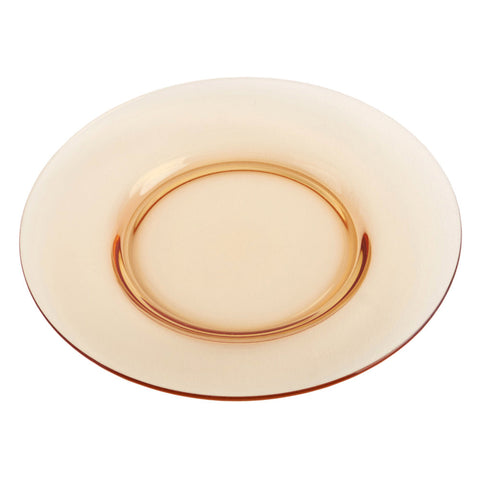 Plate1299